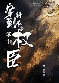 穿越宋朝科举