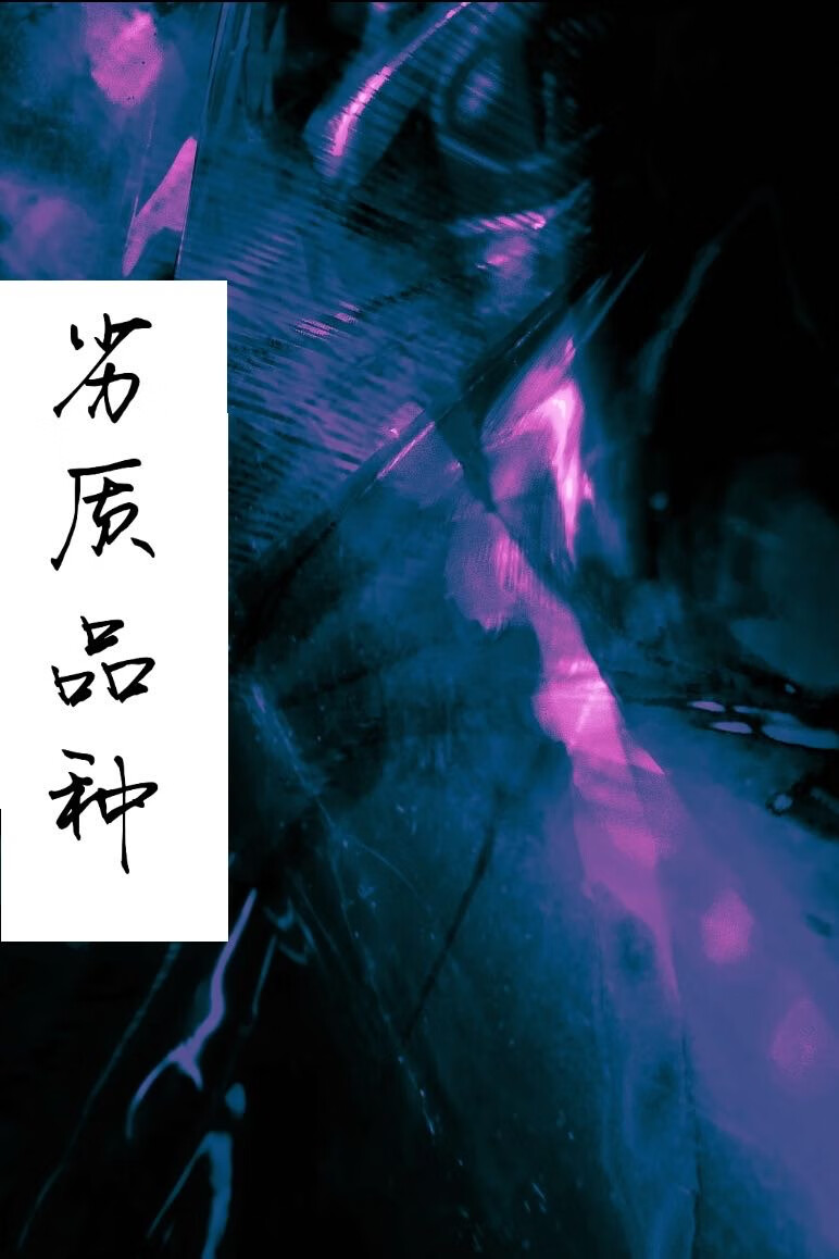 回到牧场当饲养员